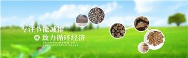 倪維斗院士：通過技術(shù)創(chuàng)新，大力發(fā)展超級能源生物質(zhì)燃料